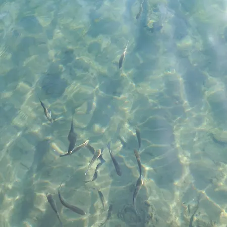 Appartement Helichrysum Hospitality 85Mq Relax Nel Centro Di Olbia *