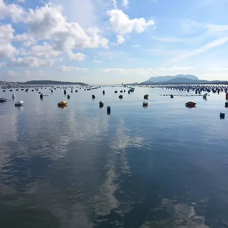 Appartement Helichrysum Hospitality 85Mq Relax Nel Centro Di Olbia