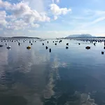 Apartment Helichrysum Hospitality 85mq Relax Nel Centro Di