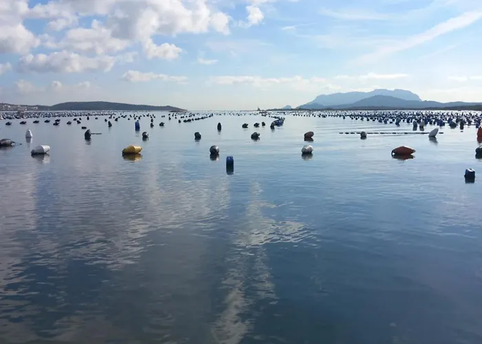 דירה Helichrysum Hospitality 85Mq Relax Nel Centro Di Olbia