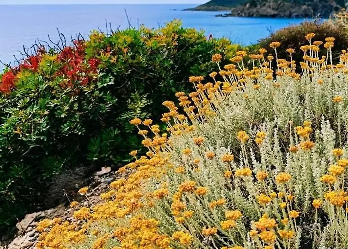 Helichrysum Hospitality 85Mq Relax Nel Centro Di Olbia * Όλμπια