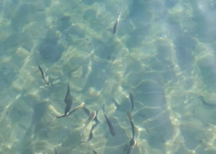 Helichrysum Hospitality 85mq Relax Nel Centro Di